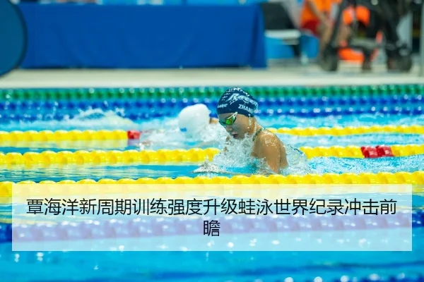 覃海洋新周期训练强度升级蛙泳世界纪录冲击前瞻